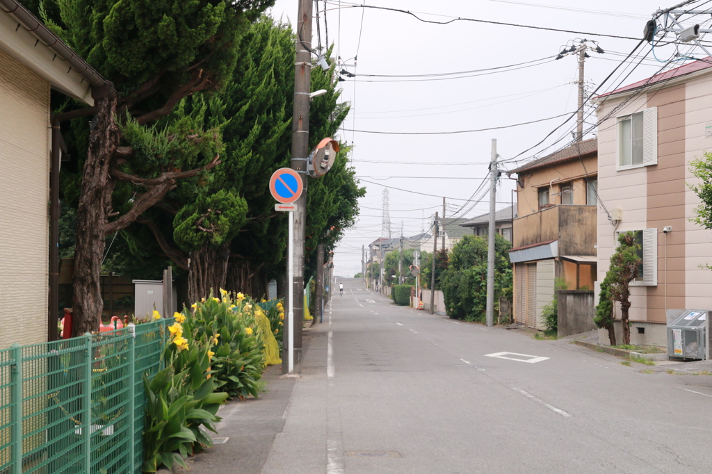 道路
