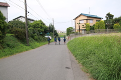 爽夏
