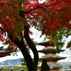 耕三寺