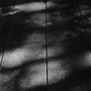 light and shade 4