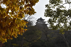 丸亀城
