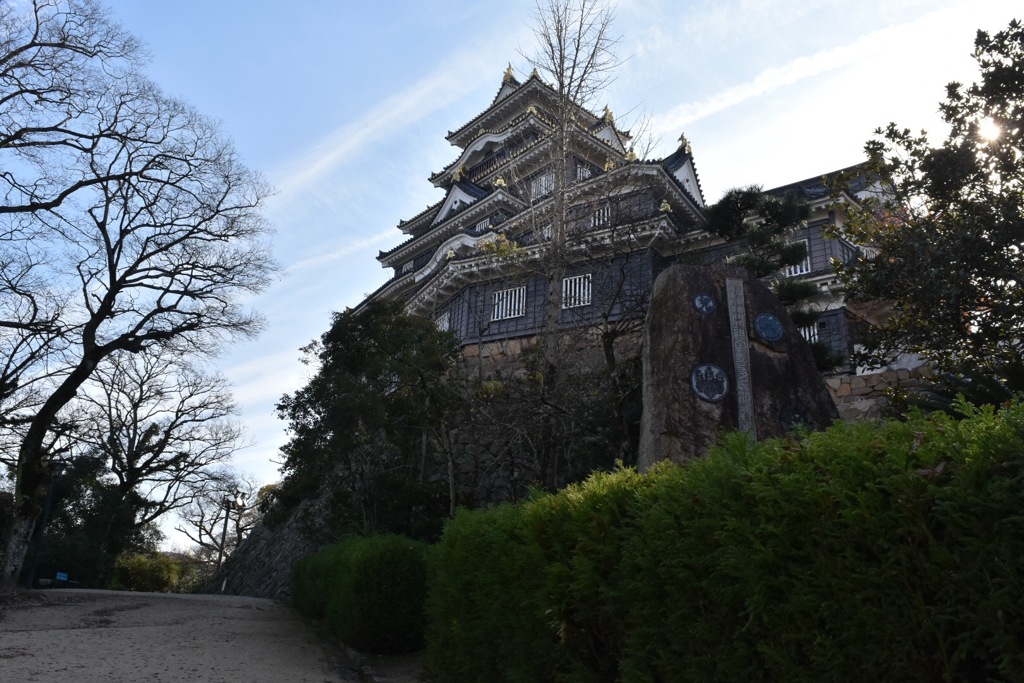 岡山城とひこうき雲