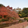 過ぎ去りし秋の匂い