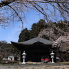 春の寺を訪ねて