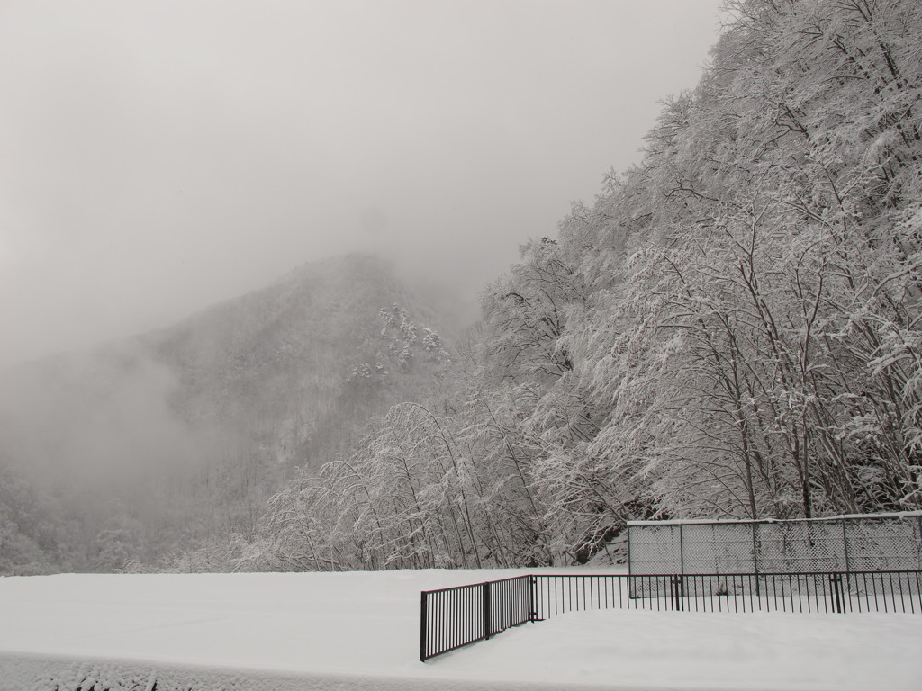 三月の雪1