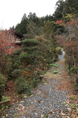 自宅の庭傍の植木