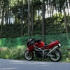 秋海棠とバイク