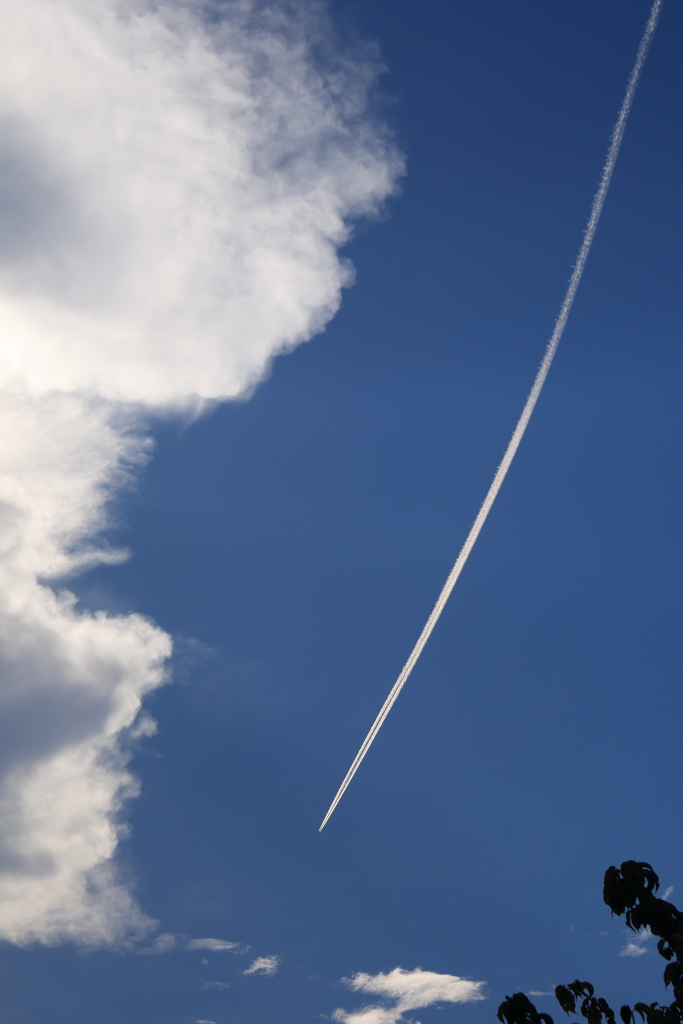 夏空と飛行機雲2