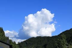 夏雲