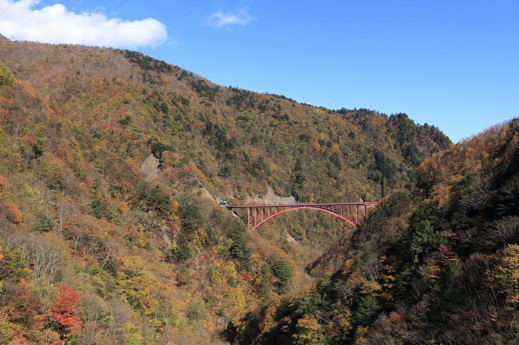 山岳の紅葉2