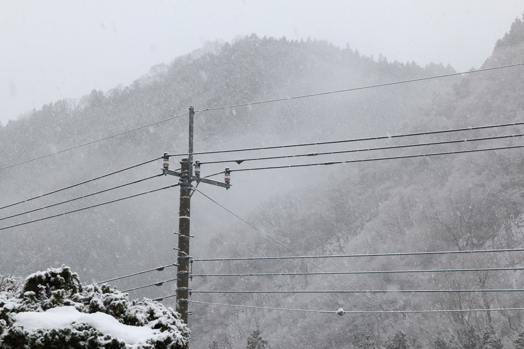 絶賛降雪中