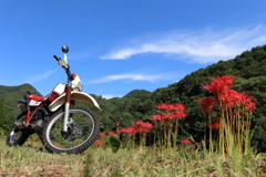 秋空の元に