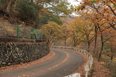 晩秋の峠道1