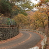 晩秋の峠道1