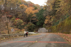 晩秋の峠道3