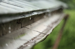 長雨