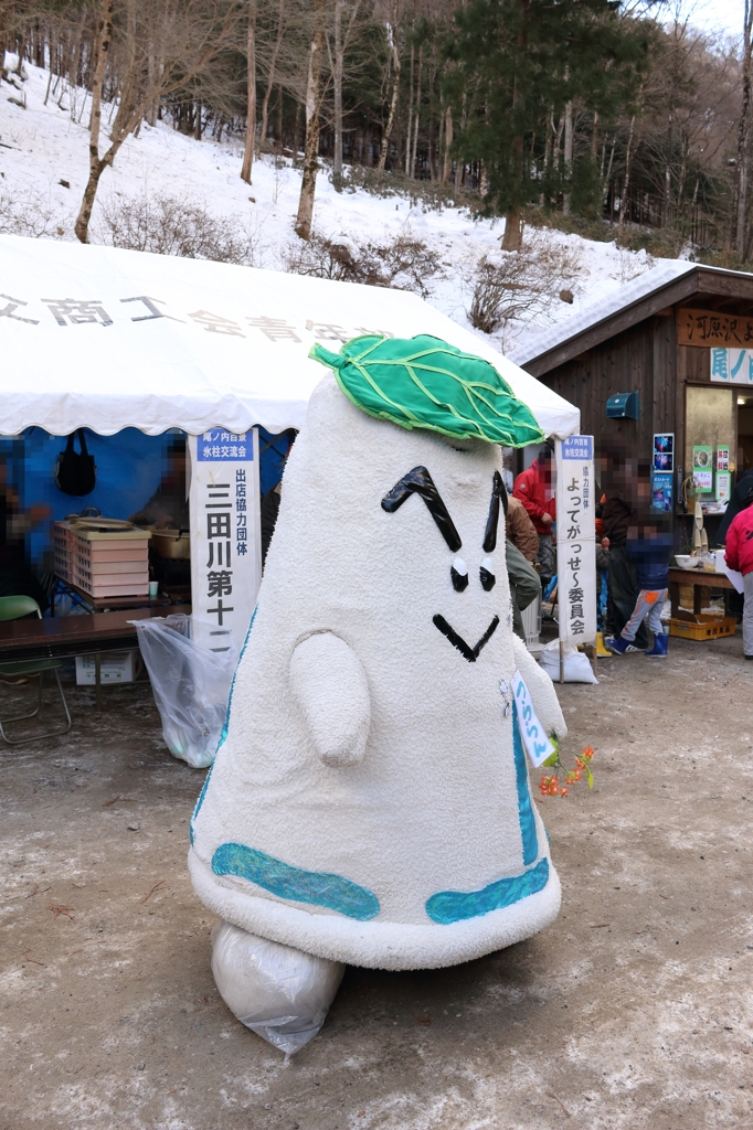 尾ノ内氷柱交流会の様子2