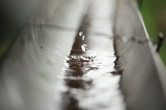 雨水1