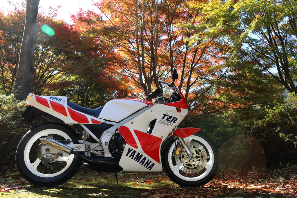 紅葉とバイクと1