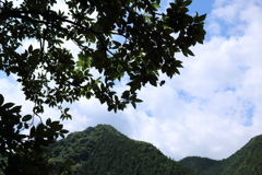 梅雨明けはまだか・・・