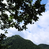 梅雨明けはまだか・・・