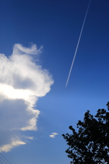 夏空と飛行機雲1