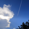 夏空と飛行機雲1