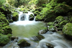 渓谷の水流