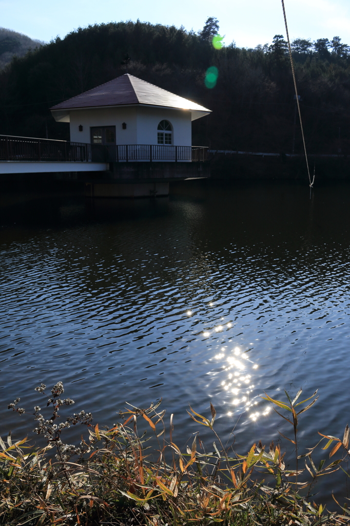 湖面の光
