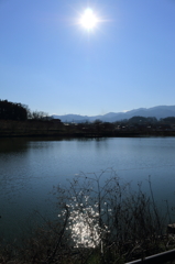 冬の陽光