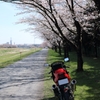 桜の木の元で3