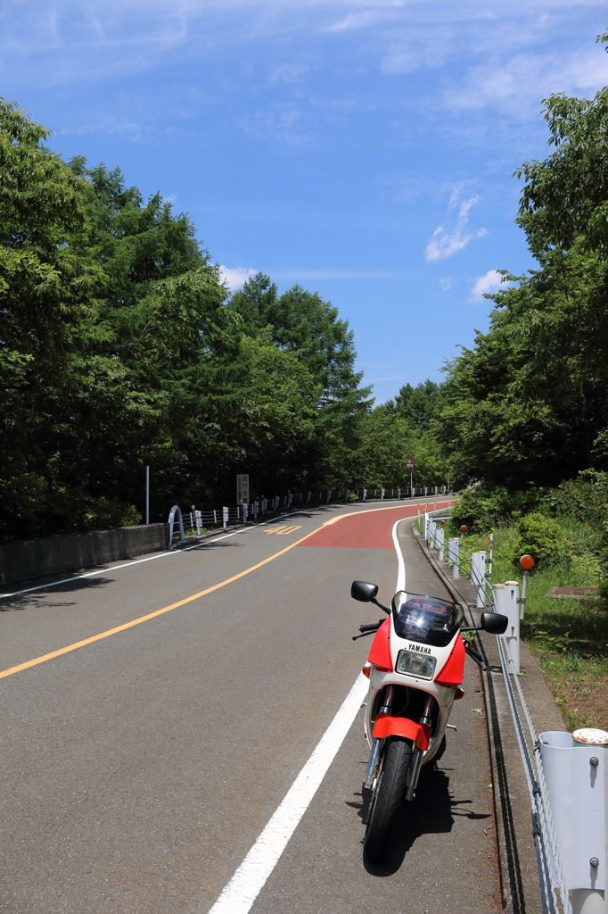 初夏の奥多摩周遊1