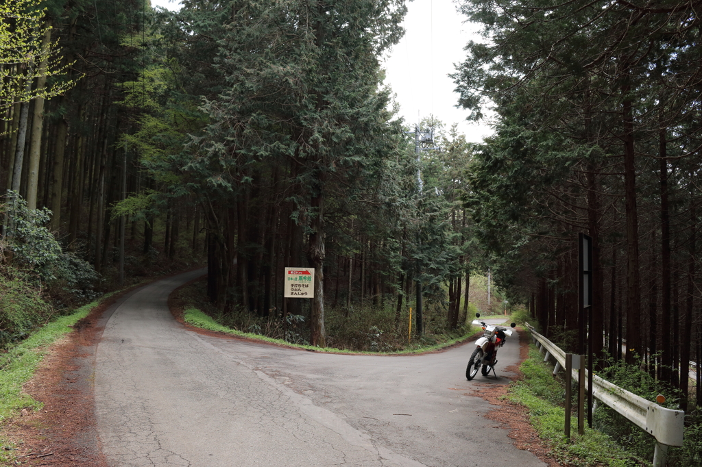 閑散とした山道
