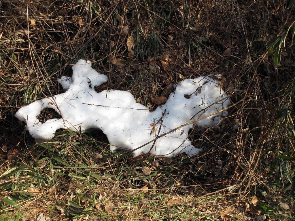 不思議な残雪