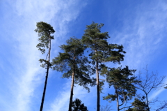 12月の空