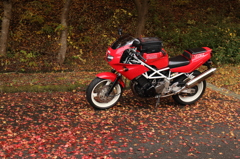 紅葉とバイク2