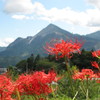秩父のシンボルと紅い花