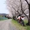 児玉千本桜3