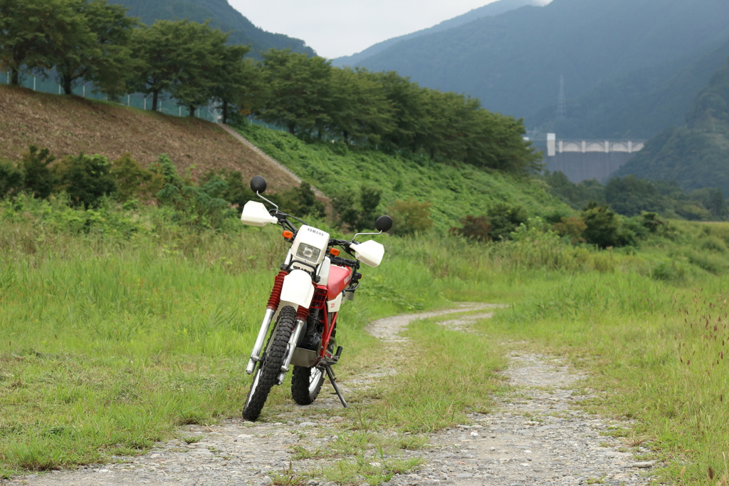 とある河川敷