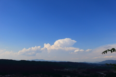 夏空を望む