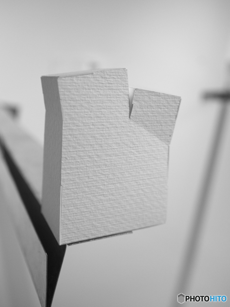 P8311250
