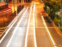 P9073855