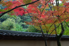 佛通寺の紅葉
