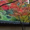 佛通寺の紅葉