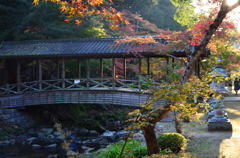 佛通寺の紅葉