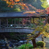 佛通寺の紅葉
