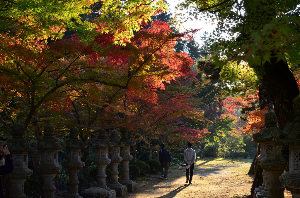 佛通寺の紅葉