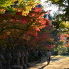 佛通寺の紅葉