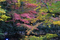 佛通寺の紅葉