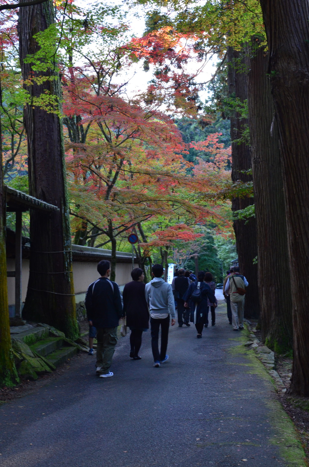 佛通寺の紅葉